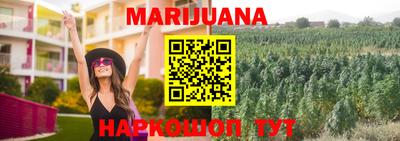 гидра Апрелевка
